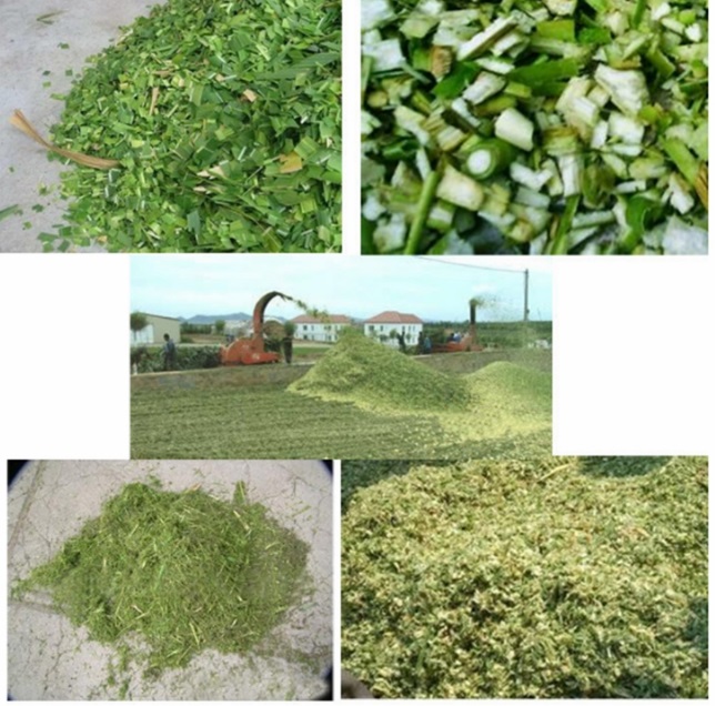 Trituradora de Cesped - Imagen 5