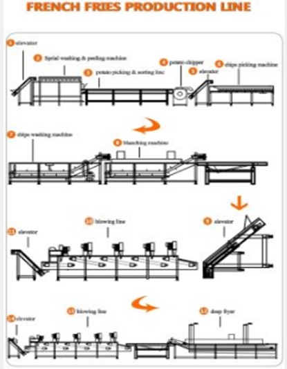 Linea de producción INDUSTRIAL de Papas Fritas - Imagen 4